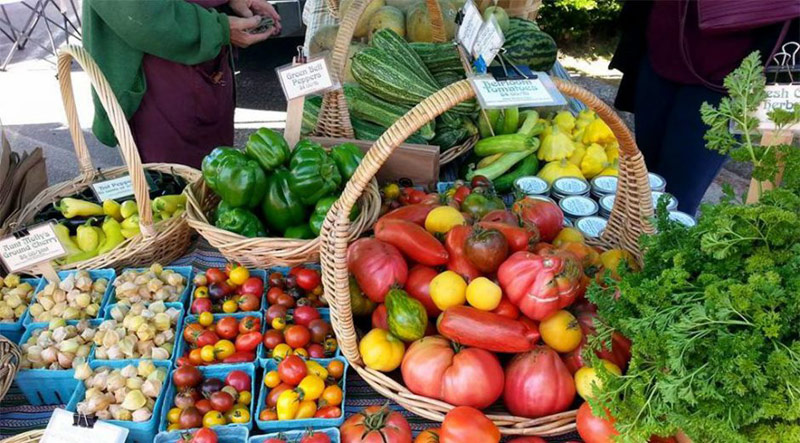 Outdoor Markets of Oregon’s North Coast Food Trail: What’s New, What’s Cool